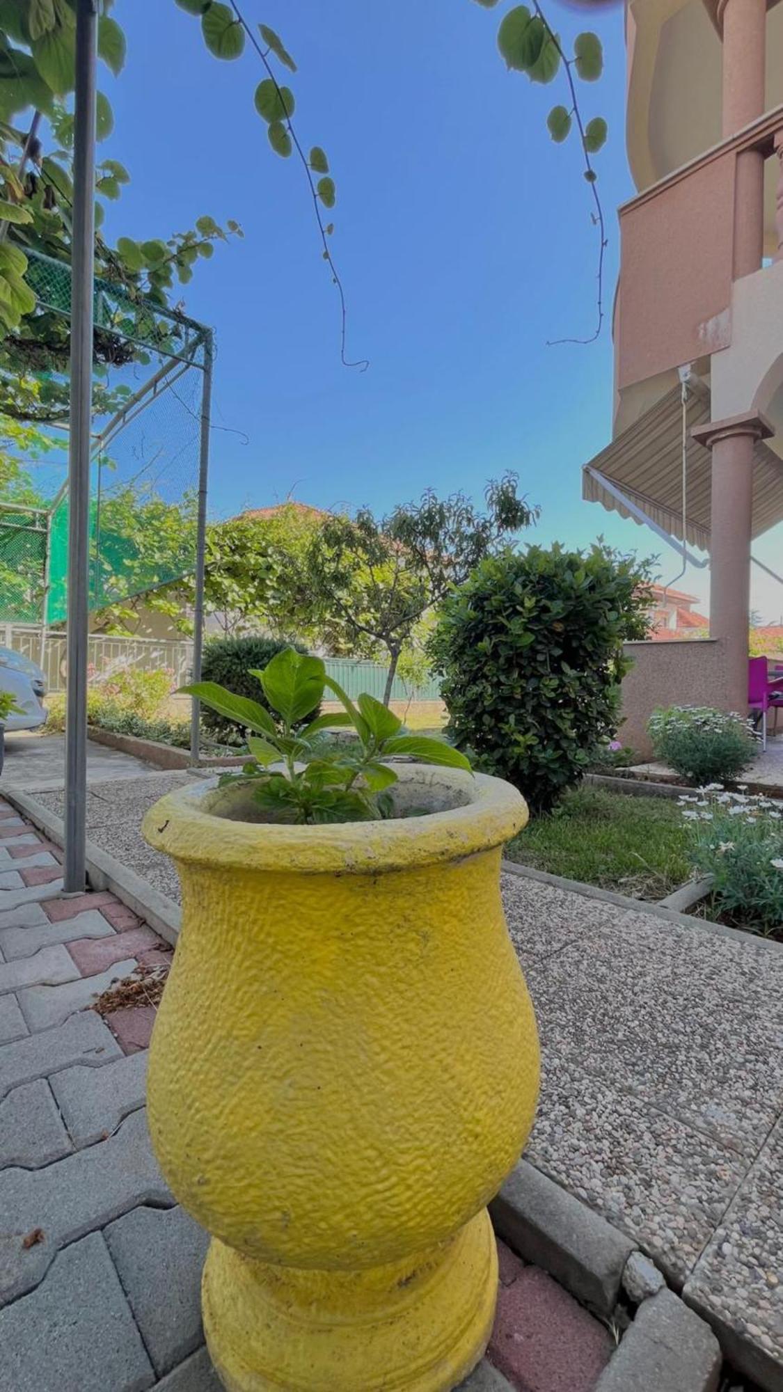 Apartments Villa Rotim زادار المظهر الخارجي الصورة
